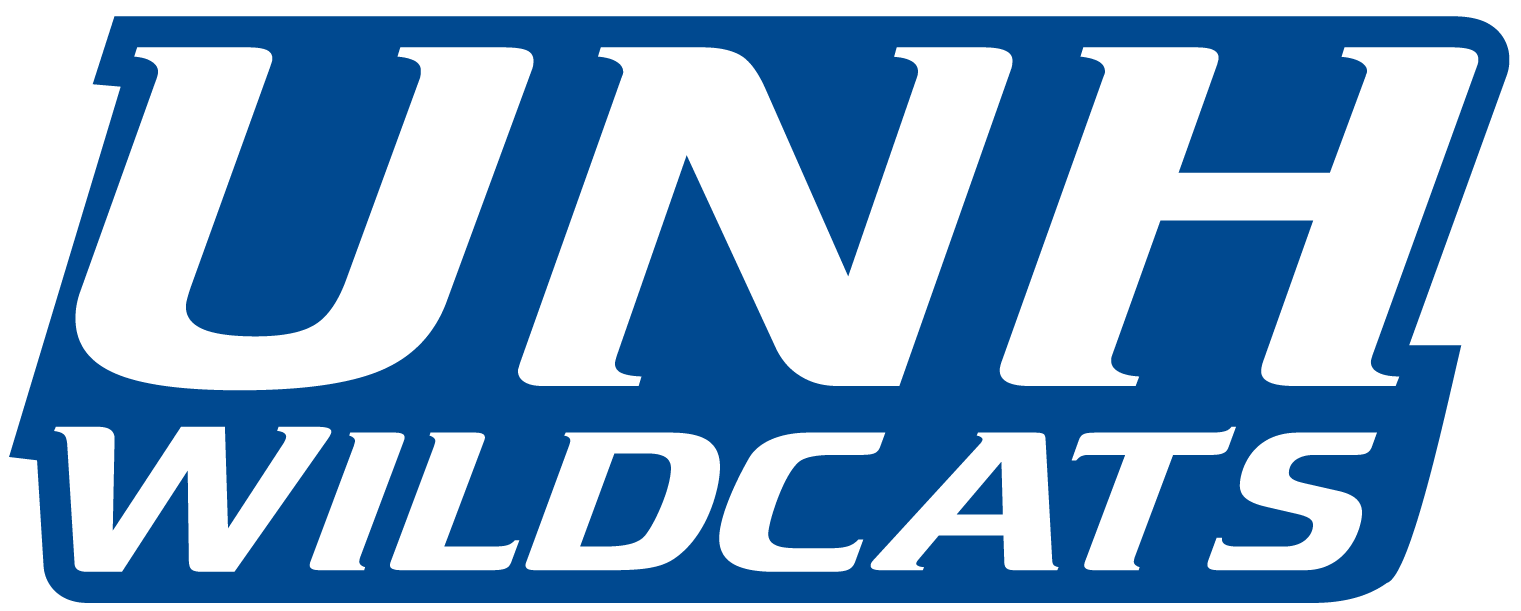 New Hampshire Wildcats 2000-Pres Wordmark Logo v5 diy fabric transfer